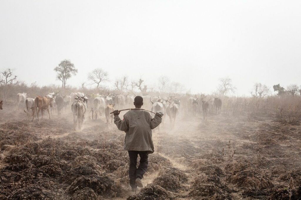 Cambiamento climatico e salute mentale su Africa rivista